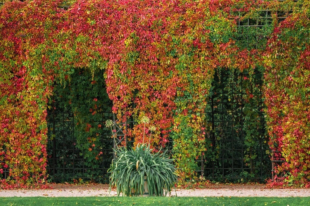 Architektur Und Gartenkunst Vereinen